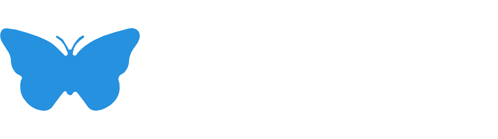 space logo